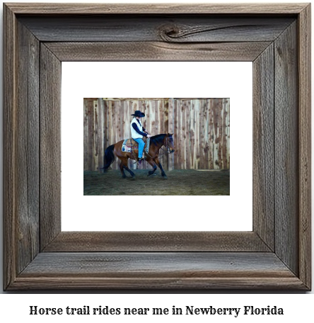 horse trail rides near me in Newberry, Florida